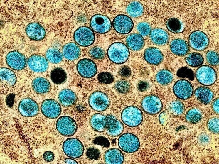     Фото: wikimedia.org