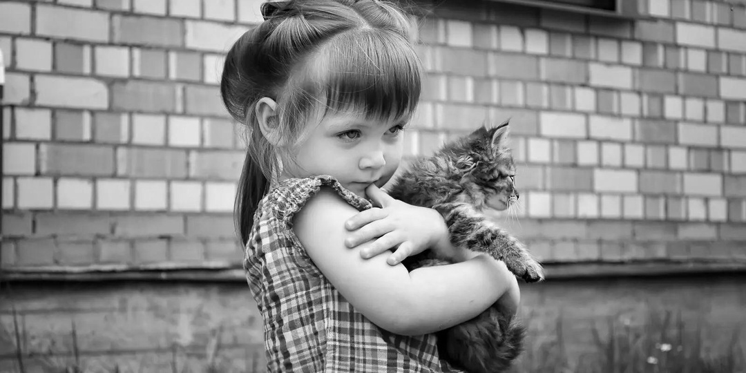 Лучше, чем грустить по журавлю... (Часть 18)