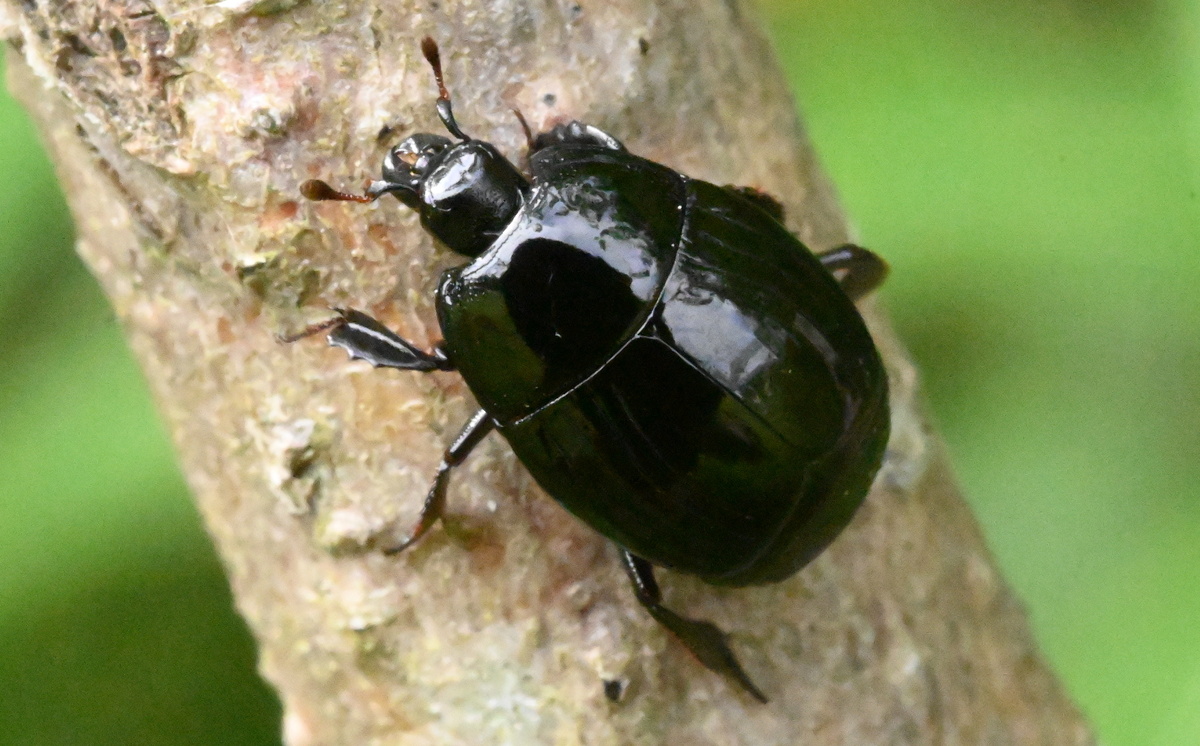 С разных ракурсов, листайте вправо