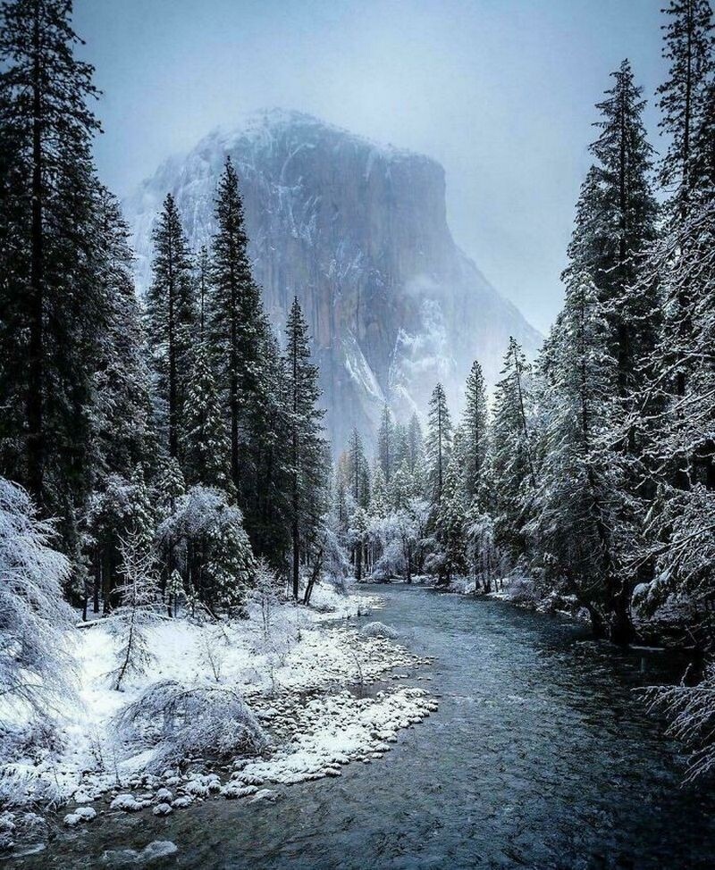    15 фотографий, доказывающих, что зима ― самое волшебное время года