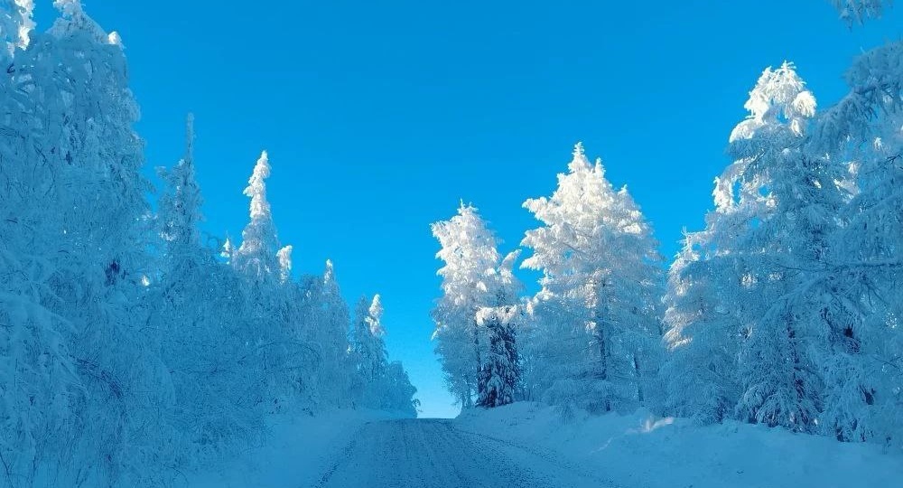 Природа показывает: кто тут царь