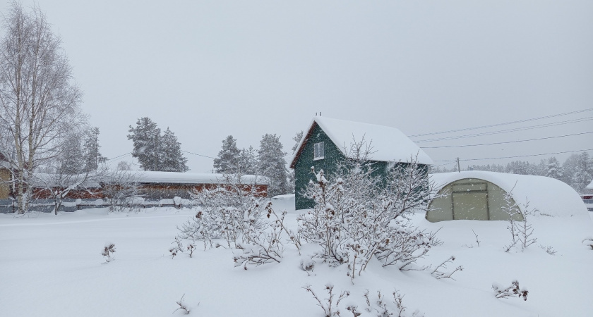    Фото из архива редакции