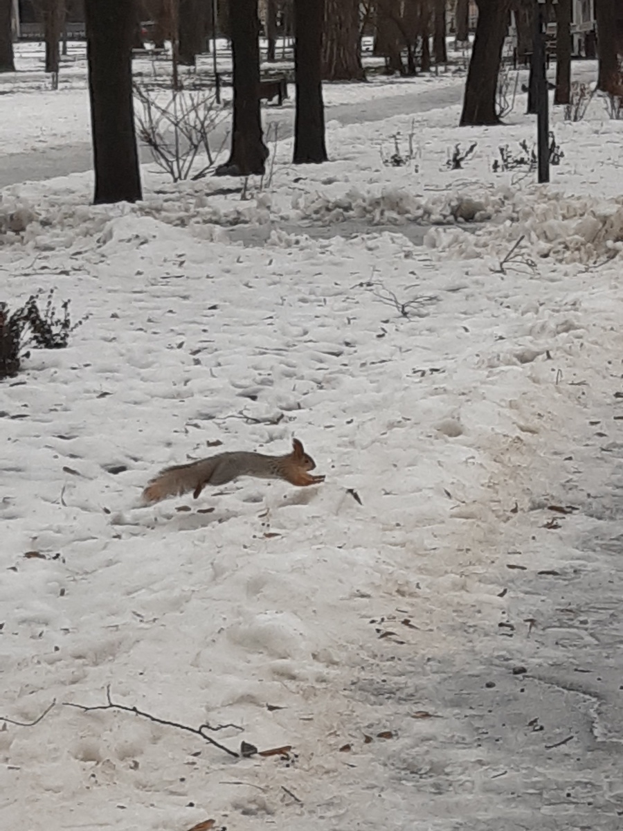 Лёгкий и ловкий!