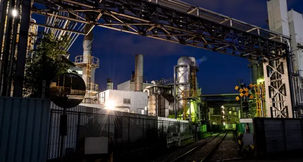    ru.freepik.com с сайта nn.dk.ru