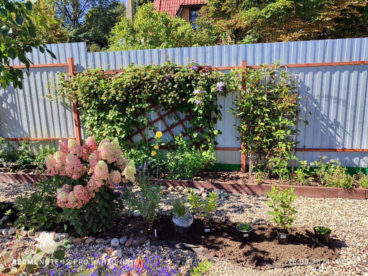 Перовския Крейзи Блю. Лето 2024 года.