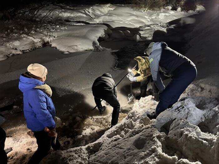 Обложка © Telegram / ДТП и ЧП Кудрово