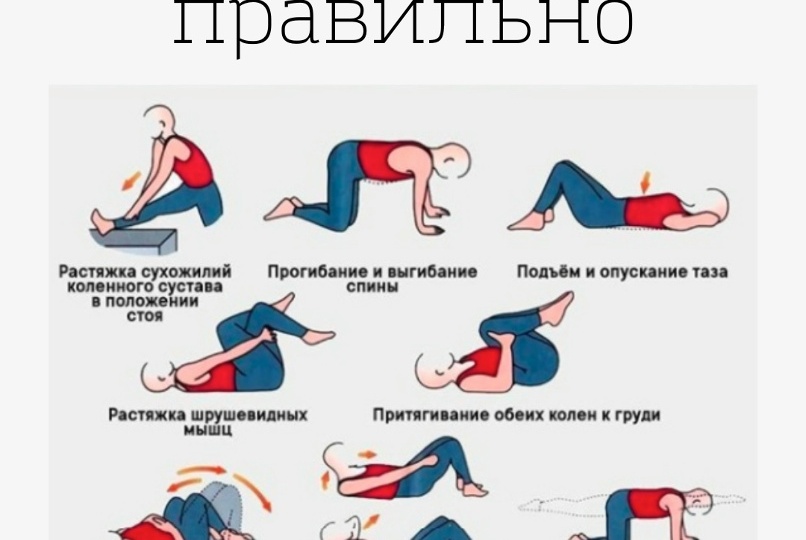 5 бережных упражнений для крепкой спины