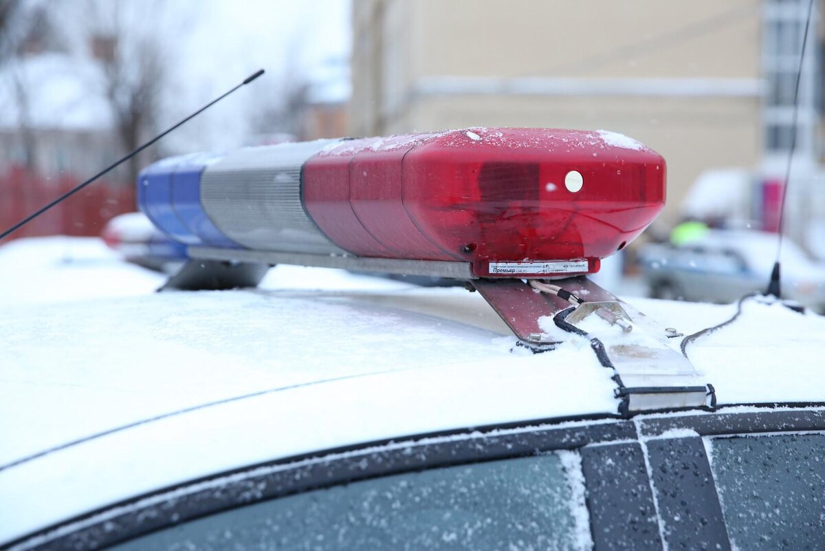 Фото: Дмитрий Фуфаев / «Петербургский дневник»