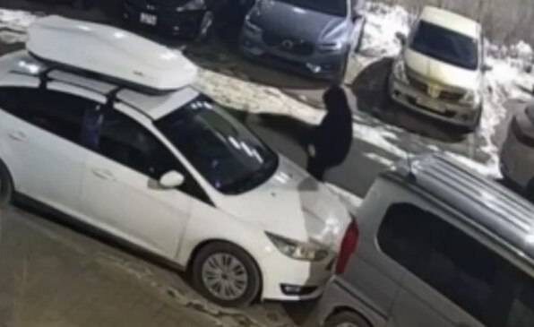    Источник фото: пресс-служба УМВД России по Приморскому краю