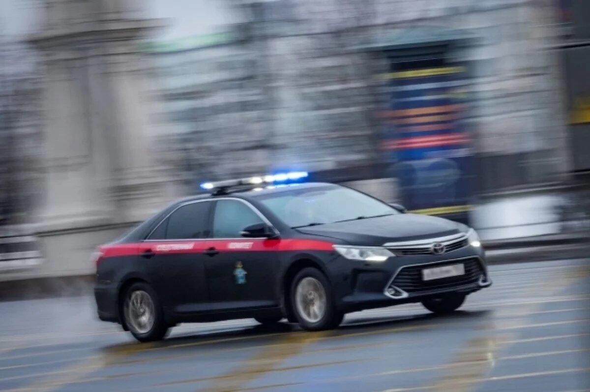    СК: тело пропавшего в Петербурге ребёнка найдено