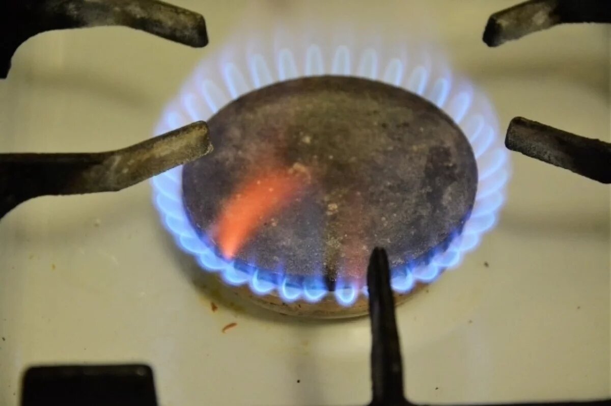    В феврале в Туле пройдут плановые работы на газовых сетях