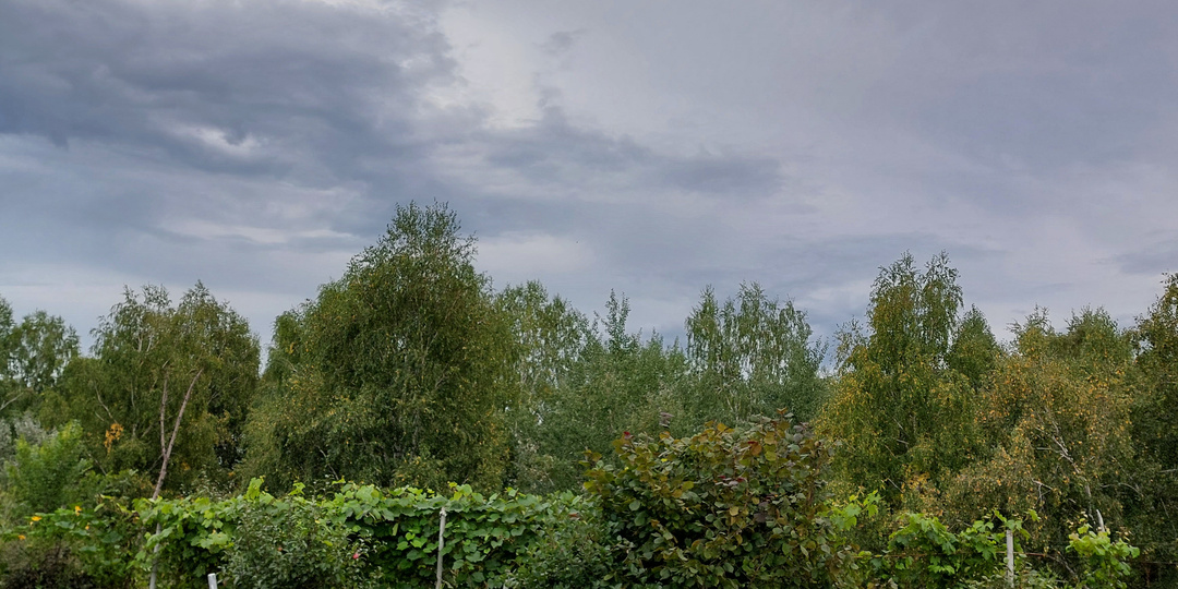 Дзен разогнал тысячу моих подписчиков за одну ночь. Сильный