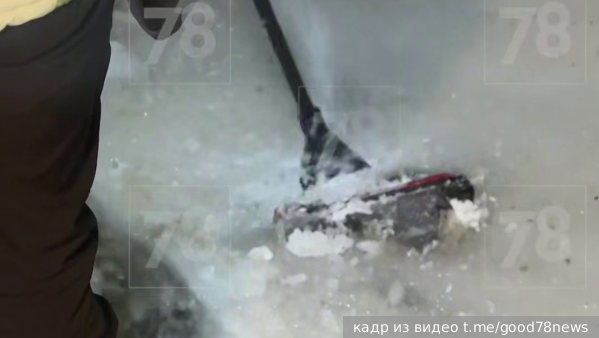     Фото: кадр из видео t.me/good78news   
 Текст: Антон Антонов