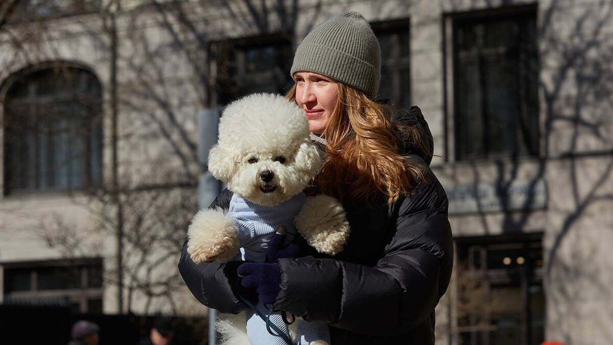    Фото: Дмитрий Белицкий / АГН Москва