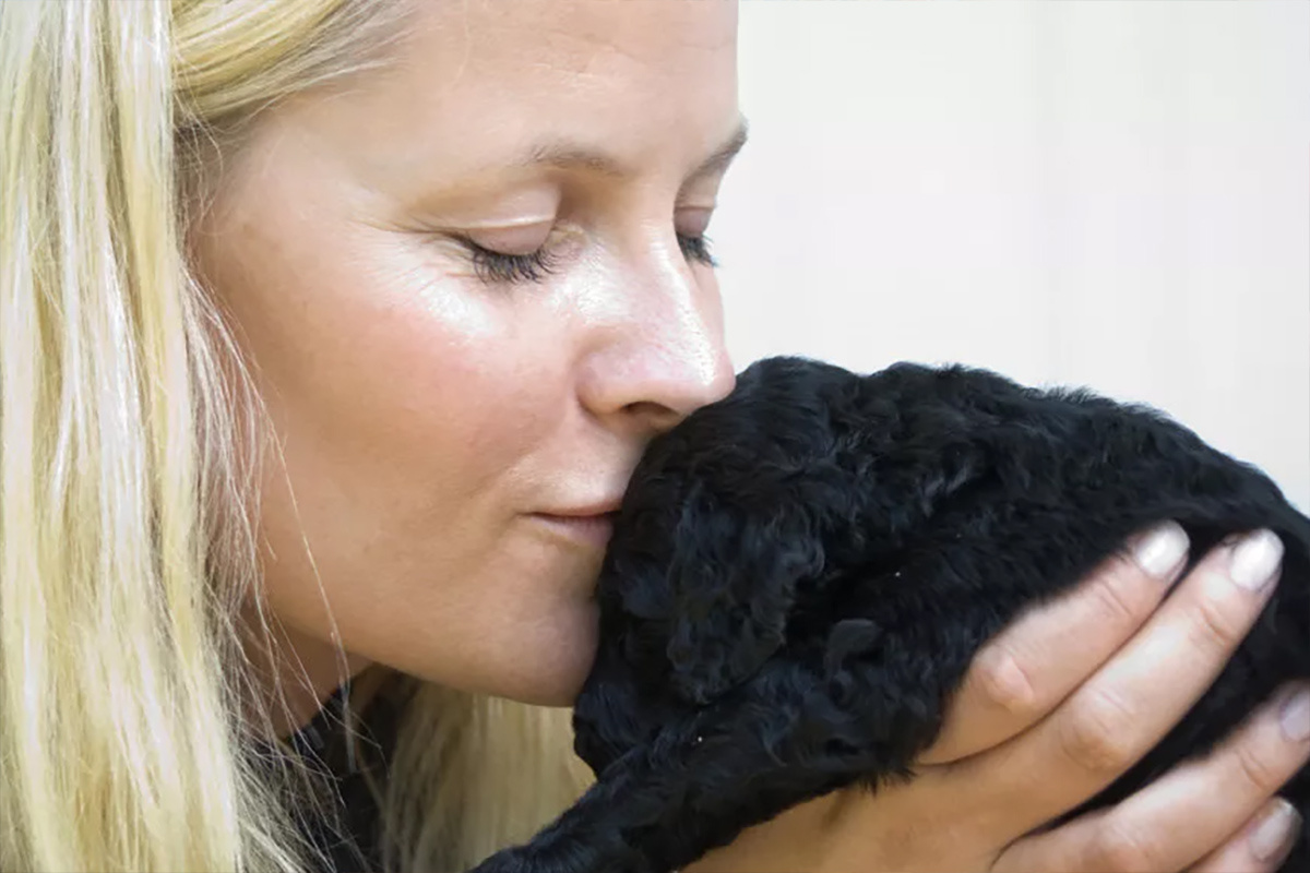    Фото: Veronica Melå / Utenfor Allfarvei AS / the Royal Court