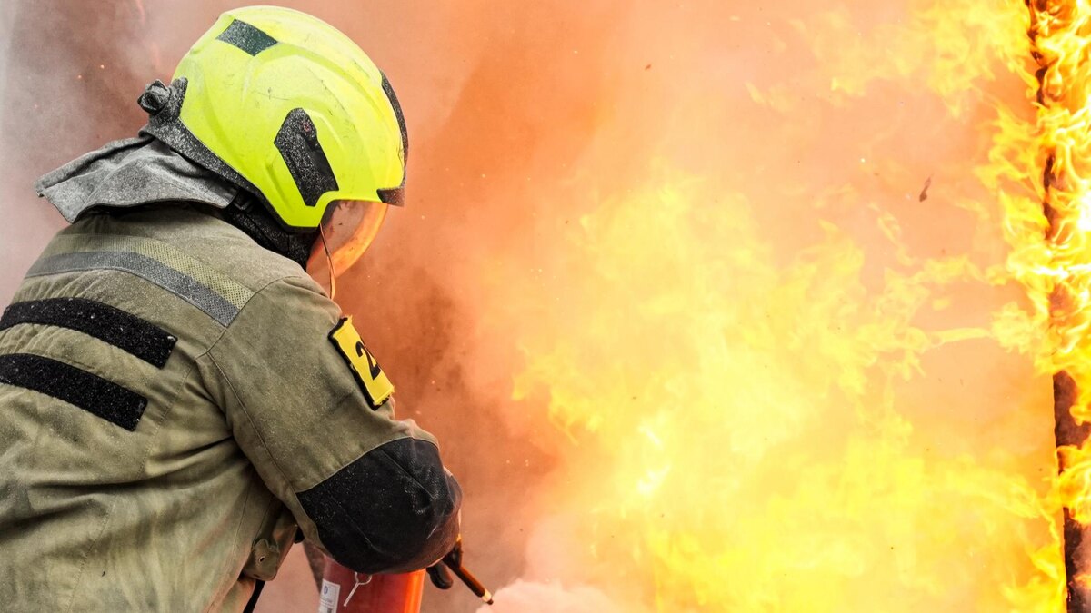    Фото: ИЗВЕСТИЯ/Андрей Эрштрем