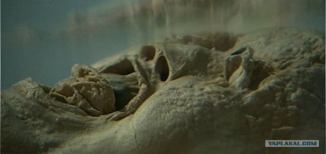 Мумия Синь Чжуй. Фото из открытого источника