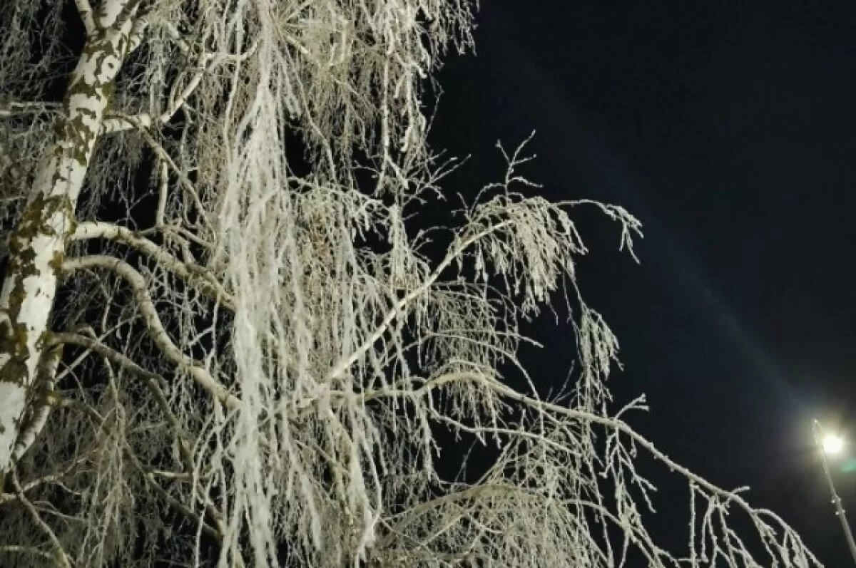    Похолодание и снегопад пообещали метеорологи в Самаре 3 февраля