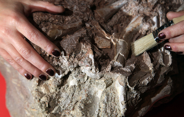 Matt Cardy/Getty Images, архив