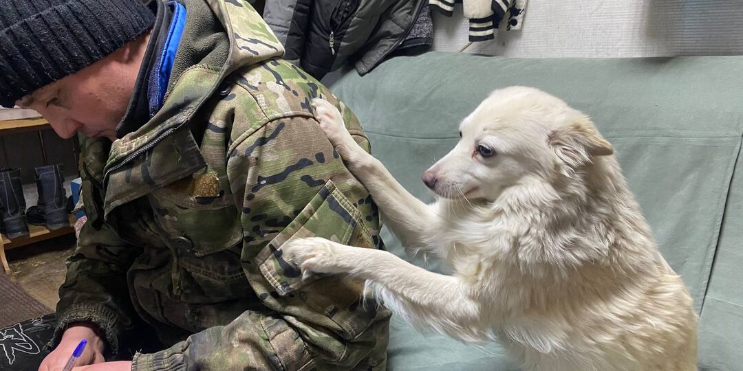 День Стольника. Очень нужна крупа.