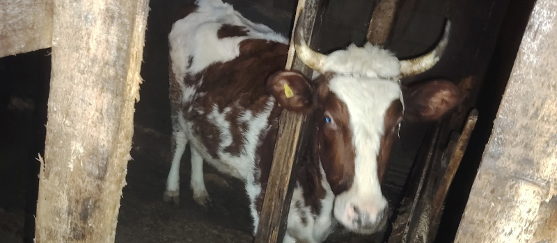    Инна Болучевская/ ВК