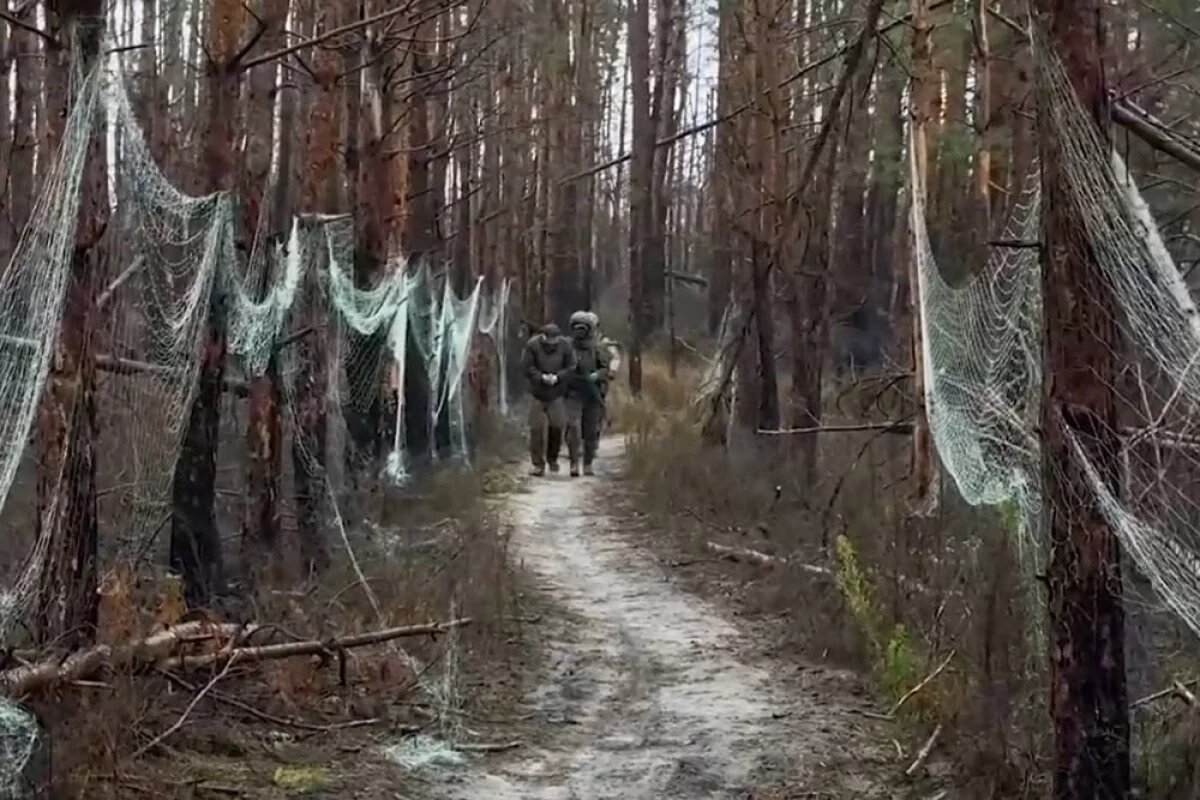    Огнем по ведьмам: в Донбассе и Запорожье обнаружили женские роты ВСУ