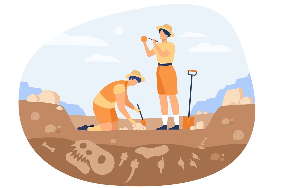  Иллюстративное фото. © pch.vector, Freepik.com