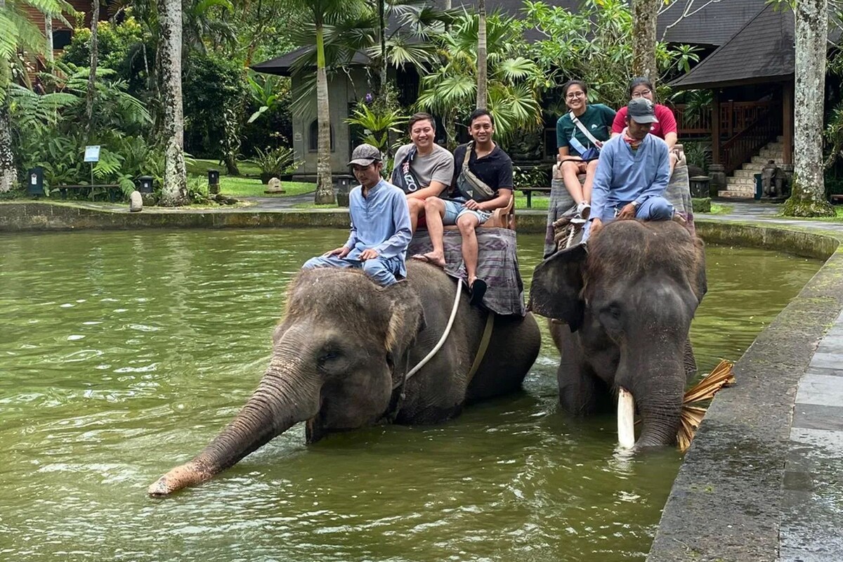  Катание туристов на слонах, Бали. © masonelephantpark.com