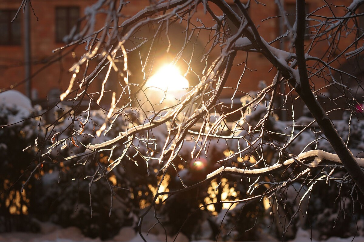  © Павел Орловский, Times.by