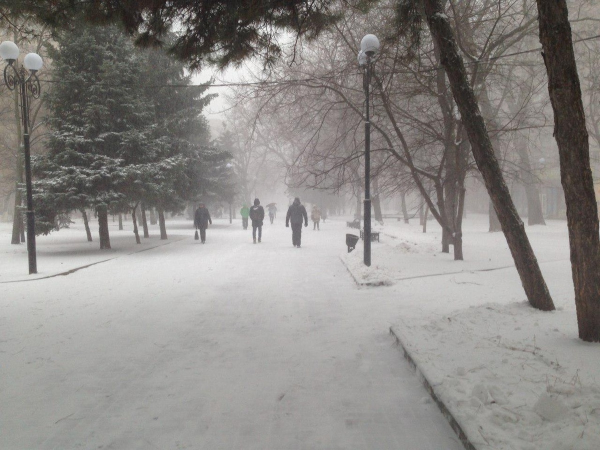 Фото автора