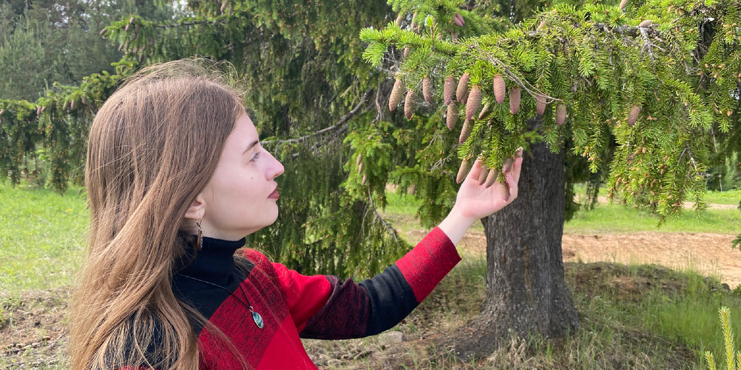 Говорящие деревья есть не только во Властелине Колец
