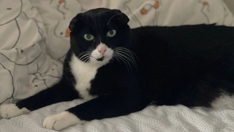      Фото: Sakh.online