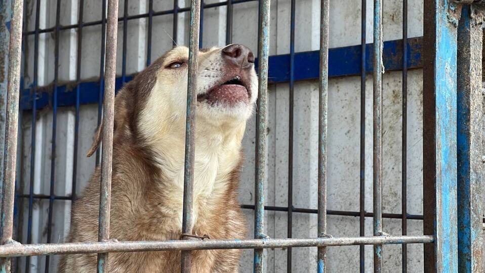     Фото принадлежит ИА SM-News Тюмень