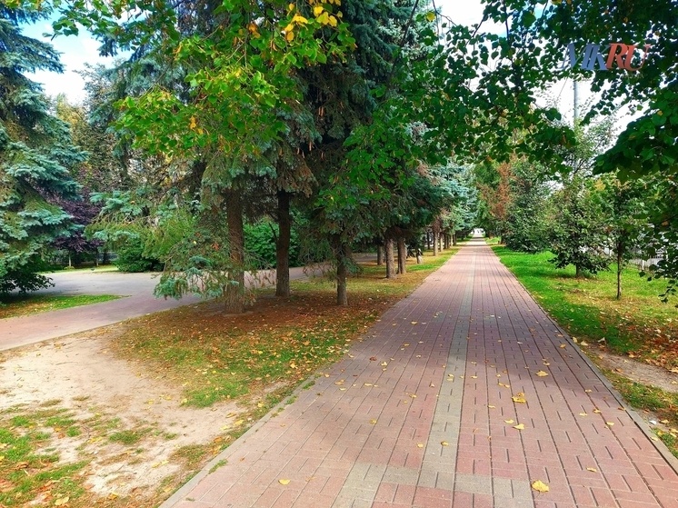     Фото: "МК в Калуге"