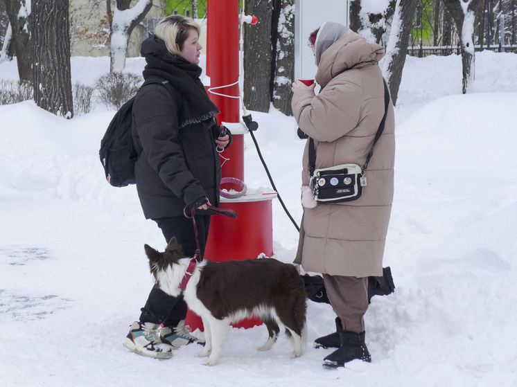     Фото Геннадий Черкасов