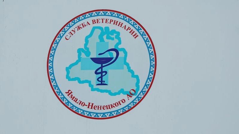    Фото: Андрей Ткачев / «Ямал-Медиа»