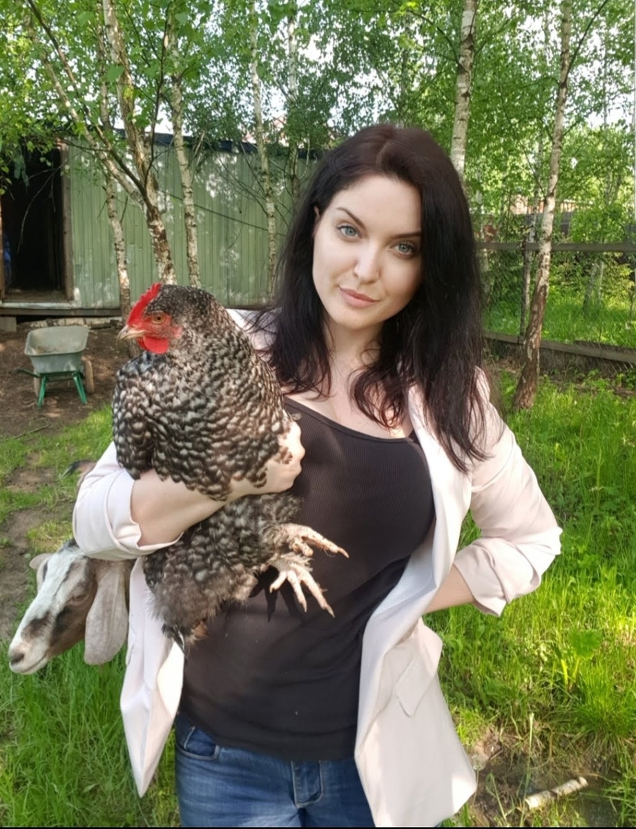 Автор блога с ручной курицей Бобиком 