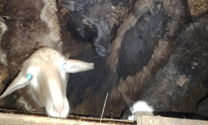    фото: © Инна Болучевская / VK