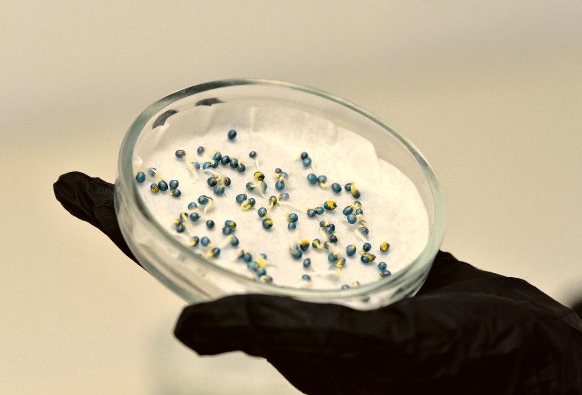     Фото: Виталий ГАРКУША