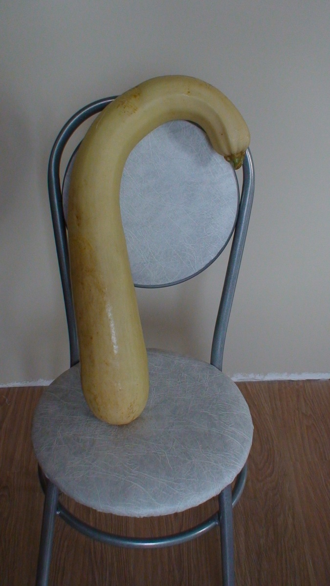 16.10.16 Кабачок