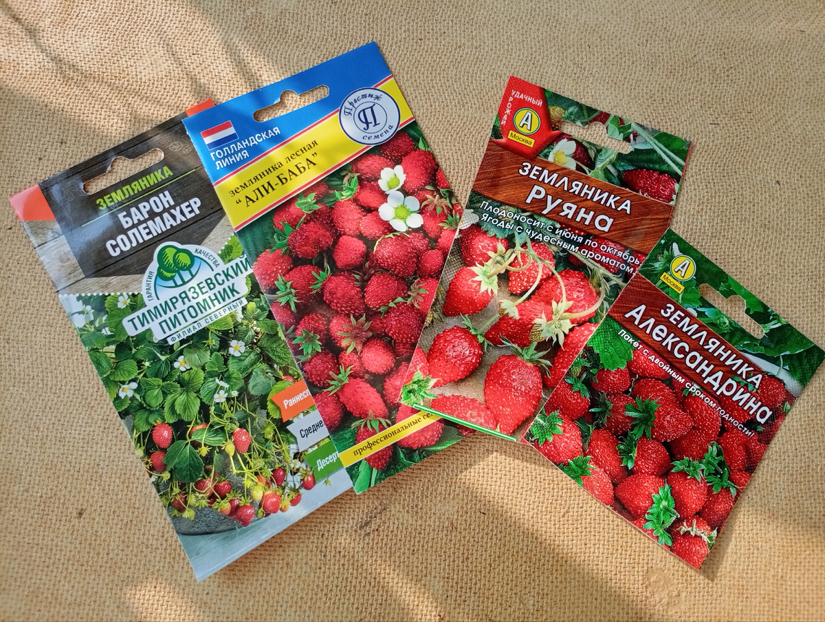 Это пакетики от сортов, которые я посеяла.