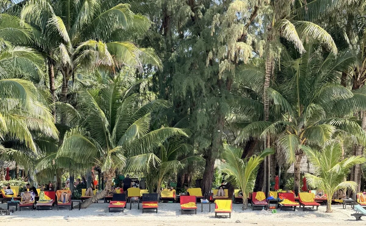    Китайский Новый год: в каких отелях Таиланда, Вьетнама и Хайнаня еще остались места