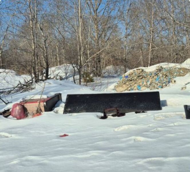    Фото:телеграм-канал Амурской бассейновой природоохранной прокуратуры