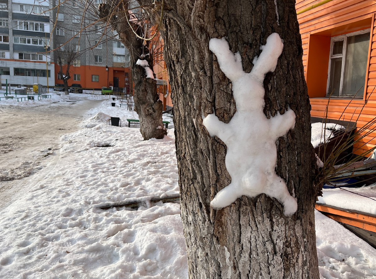 фото Сергея Куликова "Скоро весна"