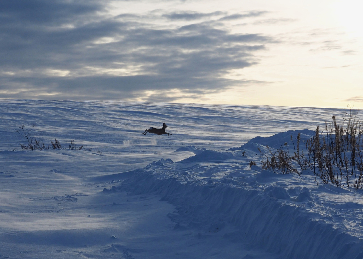 фото Надежды Павлючковой-Кочневой