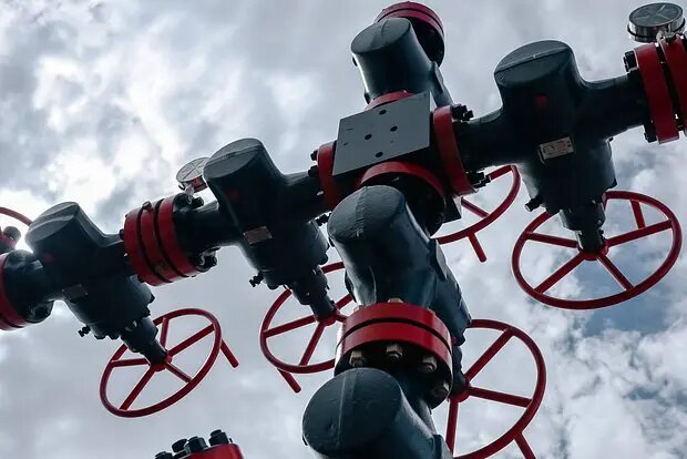    Фото: lenta.ru Анна Тихомирова