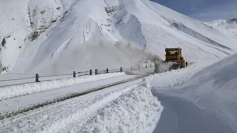    Фото: открытый источник
