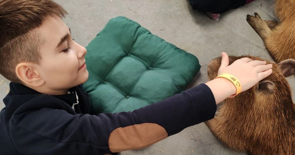 Фото: dfo.gov.ru