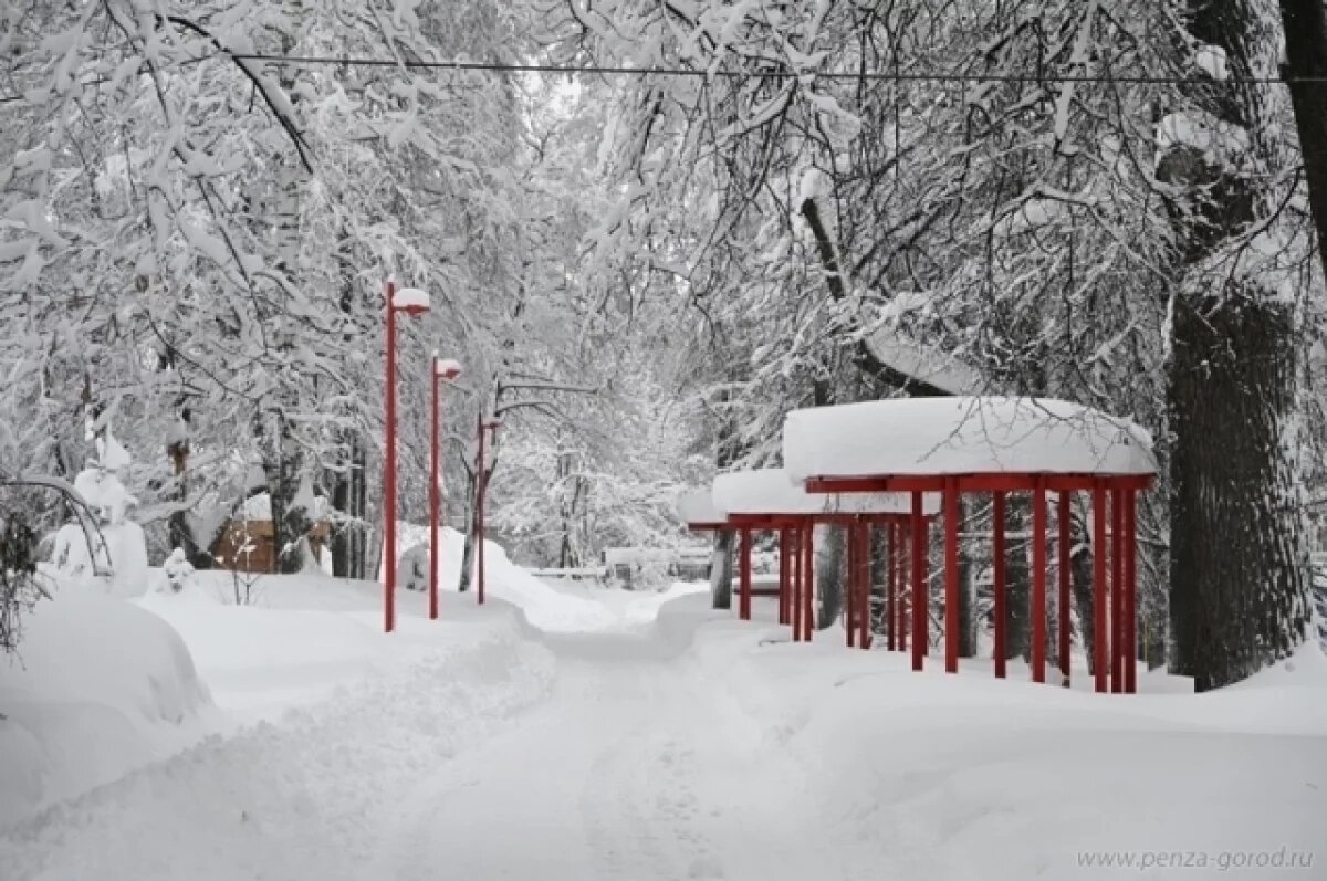    84 млн руб. пустят на благоустройство парка Белинского в Пензе в 2026 году