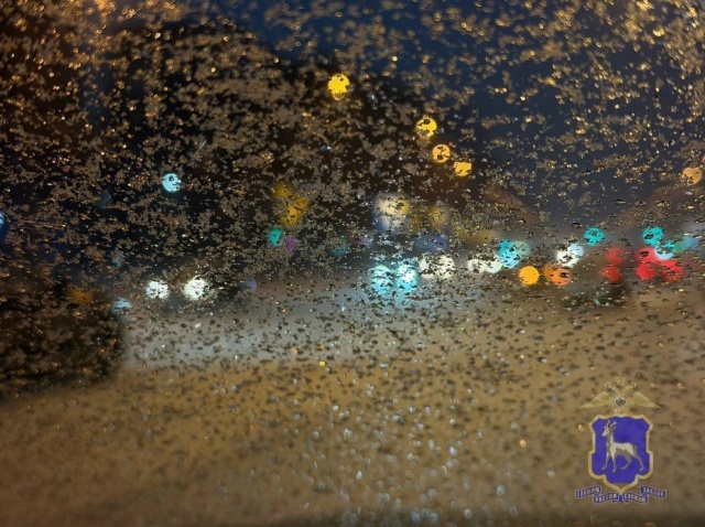    Фото ГУ МВД РФ по Самарской области